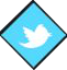 social button twitter